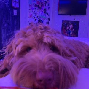 Meet your Posher, Katelyn